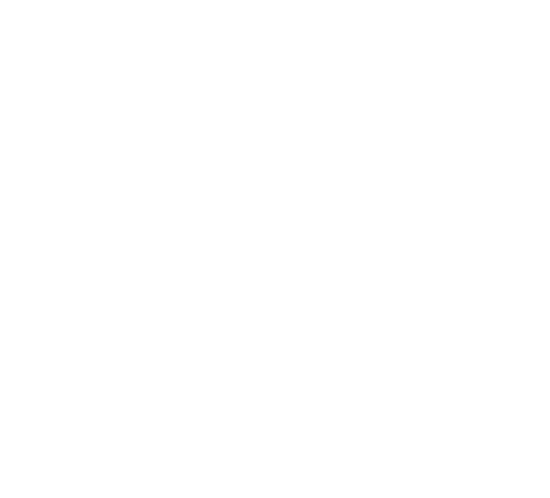 Palmar del Lago