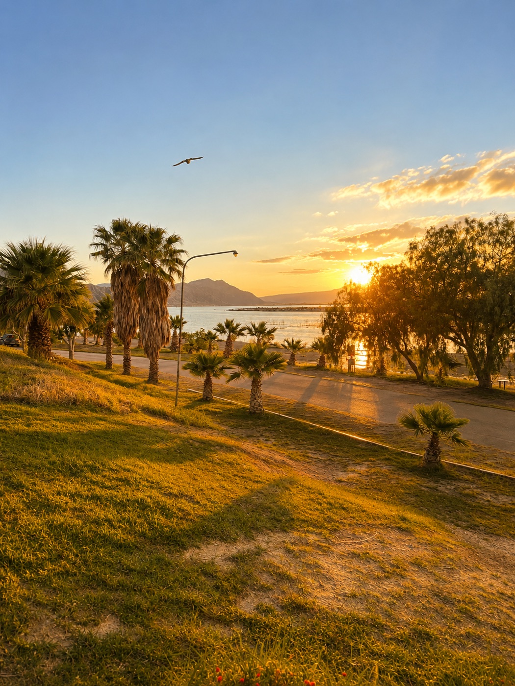 Atardecer dorado sobre el lago y las palmeras
